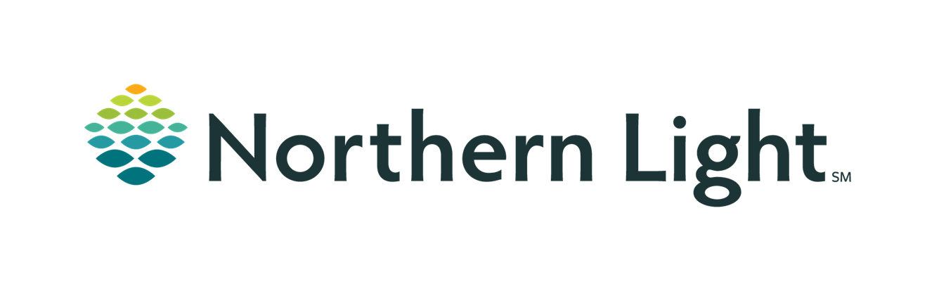 Northern Light Wellness Logo