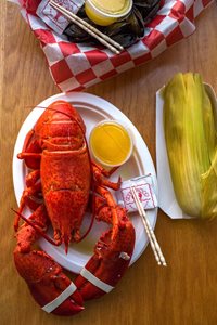 lobster.jpg