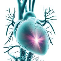Image representing the structural heart