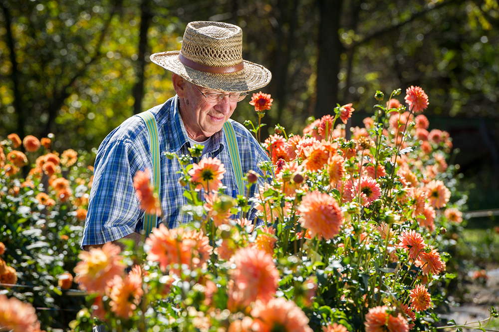 Enrich your life through gardening