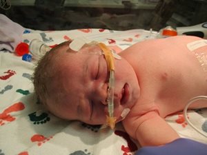 Eleanor Joanne photo