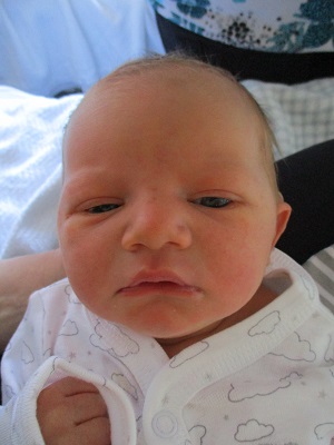 Archer Willard photo