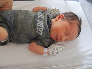 Knoxton Michael photo