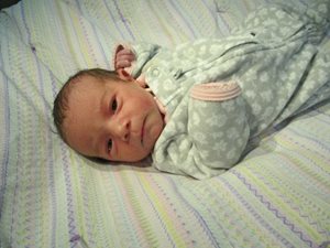 Harmony Elizabeth photo