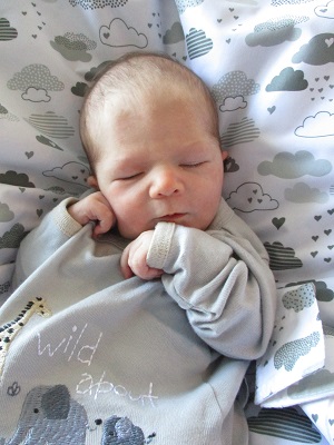 Grayson Air photo
