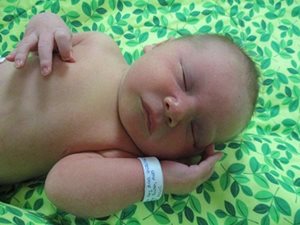 Harmon Everett photo